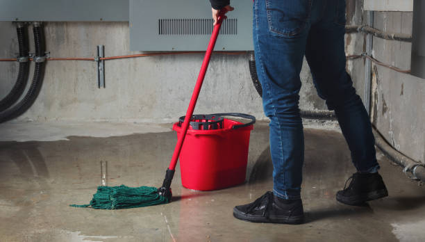 Best Ceiling water damage repair  in Forestbrook, SC